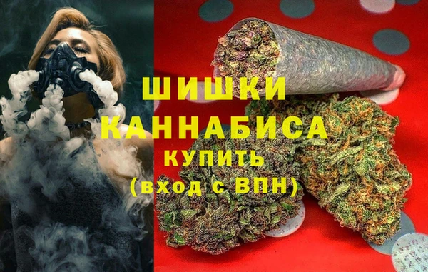 ГАЛЛЮЦИНОГЕННЫЕ ГРИБЫ Баксан